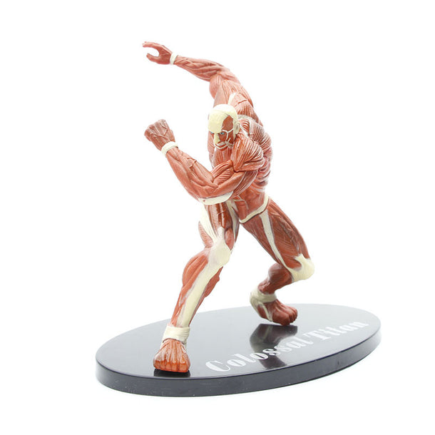 Acheter L'Attaque des Titans - Figurine Total Anime Eren